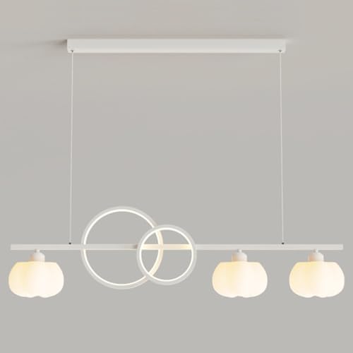 Suspension suspension lampe 30W pour un lustre moderne de chambre