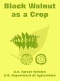 Black Walnut as a Crop