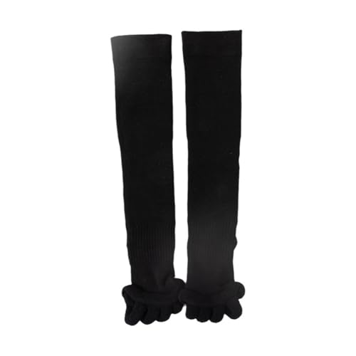 [Haixifry] w\bNX \bNX w 1/3Zbg fB[X  w L 5{wC p p QȂ I[vgD C ItBX 5{w [ jp (ubN)