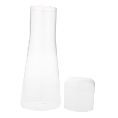 CLISPEED Bottiglia d Acqua in Vetro con Bollitore per Acqua Fredda Portabevande Adatto per Uso Domestico e Ufficio Realizzato in Vetro