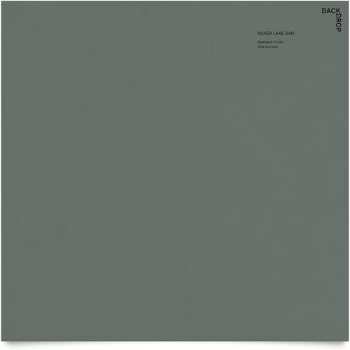 BACKDROP Silver Lake DAD swatch image