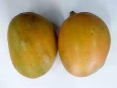 Jamaican East Indian & Julie Mangoes