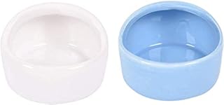 2 Pcs Gradient Side Hamster Ceramic Bowl,Cute Small Animal No Spill No Turnover Food Water Bowl Dish Holder for Guinea Pig Rodent Rat Gerbil Cavy Hedgehog Dwarf Feeder Feeding Basin Bowl,Pet Supplies