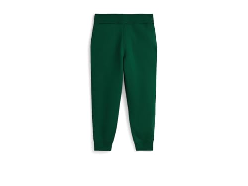 Polo Ralph Lauren Boys' Logo Fleece Jogger Pants (Toddler/Little Kid)2