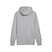 PUMA Men's Standard Mercedes-amg Petronas Essentials Fleece Hoodie, Team Silver-ss24, L