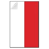 iLuane Display Wallboard for Model Car Kit Building Set, Adult Collectibles Wall Mount, Home or Office Décor, Two-Tone (No Car Included)