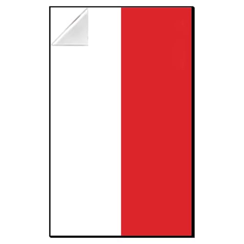 iLuane Display Wallboard for Model Car Kit Building Set, Adult Collectibles Wall Mount, Home or Office Décor, Two-Tone (No Car Included)