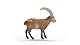 SCHLEICH 14873 Steinbock, ab 3 Jahren, WILD Life - Spielfigur, 5 x 9 x 3 cm