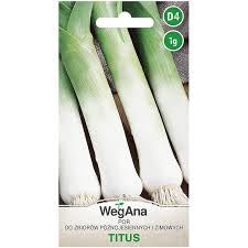 WegAna Semi di Porro 1g Porro Tito Robusto Semi di Ortaggi, Semi di Ortaggi Semi di Coltivazione per Orto in Serra