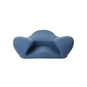“Ergonomically Correct for The Human Physiology Zen Yoga Ergonomic Chair Foam Cushion Home or Office (Fabric, Blue Angel)