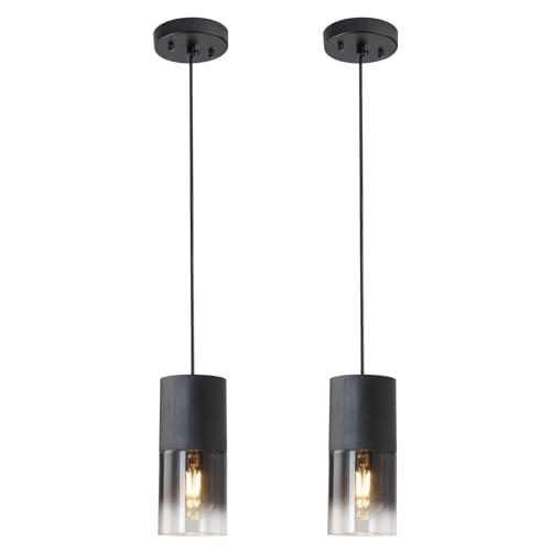 Tumgog Modern Style Battery Operated Pendant Light Set of 2 Black Battery Ceiling Light fixtures with Rechargeable Bulbs 10 Colors Modes Remote Dimmable for Bedroom Living Room Hallway