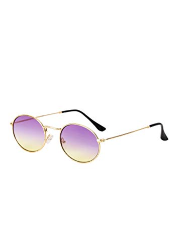 Purple Fade Round Hippie Glasses | Groovy Retro 70's Sunglasses