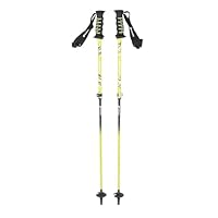 Amazon | シナノ（SINANO） スキーポール フリー FAST アルファ