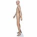 Mannequin Man A Business,Industrial,Retail,Display Mannequins Beige 10,4 LBS