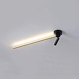 【Matériau et taille】: Il est fabriqué en aluminium, gel de silice grâce à plusieurs processus. Diamètre du spot : 3 cm (S) ; 3 cm (M) ; Hauteur du spot : 11 cm (S) ; 11 cm (M) ; Longueur : 33 cm (S) ; 63 cm (M) ; Hauteur : 13 cm (S) ; 13 cm (M) ; Base : 10 x 10 x 3 cm (S) ; 10 x 10 x 3 cm (M).