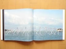 洋書◆リヴィオ・セグーゾ ガラス作品写真集 本 工芸品 Amazon.co.jp: 洋書リヴィオ・セグーゾ ガラス作品写真集 本 工芸品