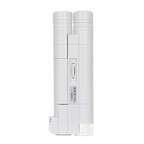 ���{�p�������A�N�Z�T���[ �o�ጰ����100�{ �������Ɩ��w���̉��O�g��K���X