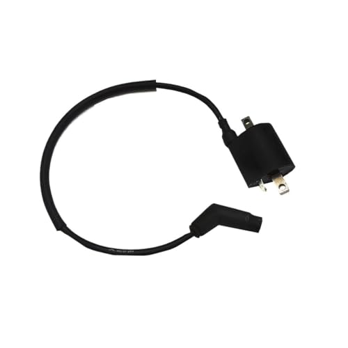 Bobina de encendido EFI para moto y ATV LH300 LH400 LH500 repuesto 22012