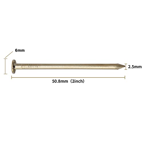 Image of JEGONFRI 120PCS 2 inch x 13Ga Brass Plated Nails for Hanging Pictures &Woodwork | Premium Carbon Steel Construction, Flat Head, Rust-Resistant Finish, Smooth Surface, Versatile Use For DIY And Repairs