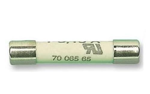 Tube à fusible T2A H500V 7006565 pour protection de circuits électriques