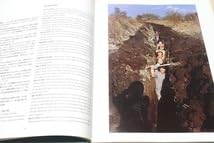 Amazon.co.jp: 野崎敏彦写真集・earth & wave・20000ftを