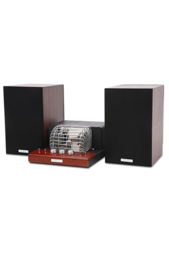 Amazon.co.jp: SOUNDWARRIOR 日本製 USB DAC 内蔵 真空管アンプ