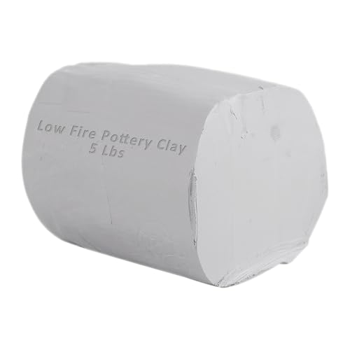 TORISING Low Fire Stoneware Pottery Clay 5Lbs Cone 04-06 for Wheel Throwing and Hand Building Sculpting and Advanced (White)