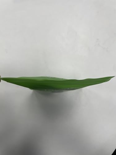 Adauxter Cabo HDMI 2.1 certificado 10K 8K 3,3 FT, cabo HDMI de alta velocidade 48Gbps com Ethernet 4