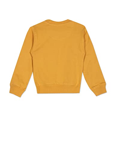 Image of U.S. Polo Assn. Boys Sweatshirt