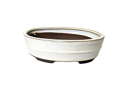 Vasi bonsai in ceramica smaltata senza vassoi (crema, 20 cm)