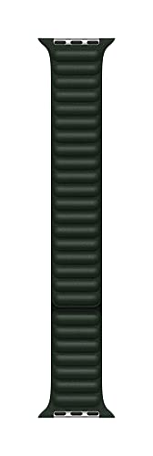 Amazon.co.jp: Apple Watch(45mm)ケース用セコイアグリーン