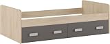 SHIITO | Cama Nido Modelo Chelsea con 2 Cajones de Almacenaje | Acabado Natural Grafito | Dimensiones: 190.9 x 98 x 58 cm Resistencia