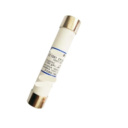 Fusible 1051 CP évitez les pannes de courant G 20 127 protection thermique 10A 16A 25A