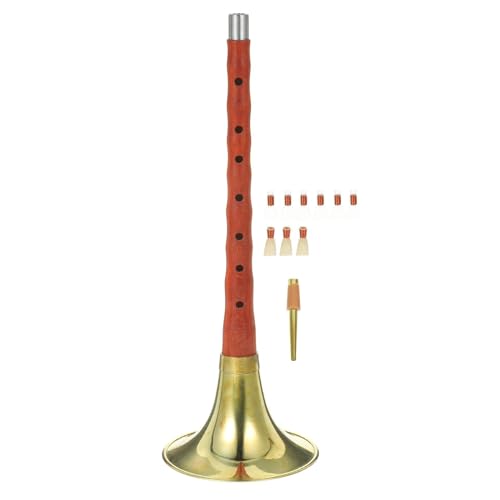 Suona Instrument Chinese Instrument Practical D Key Suona Rosewood Suona Ethnic Wind Musical Instrument