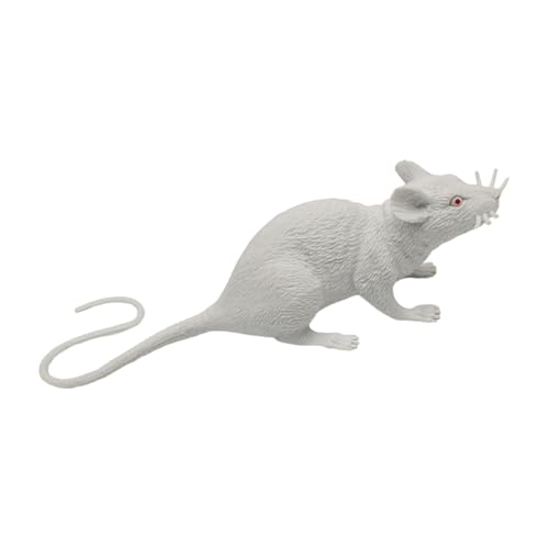 Che si tratti di una decorazione di Halloween, di uno scherzo pratico o semplicemente di un giocattolo unico per animali domestici, il finto regalerà sicuramente eccitazione e risate in ogni occasione