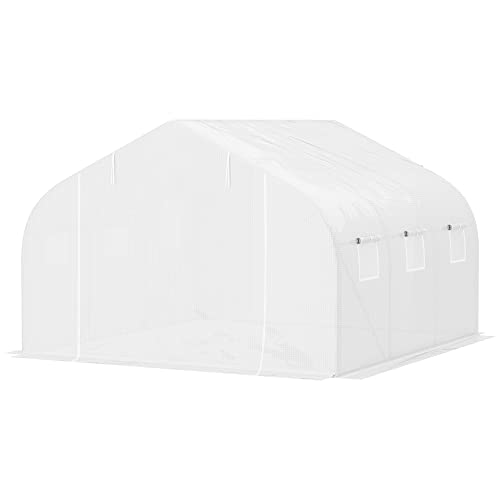 6 Best Greenhouse For High Windy Areas in 2023