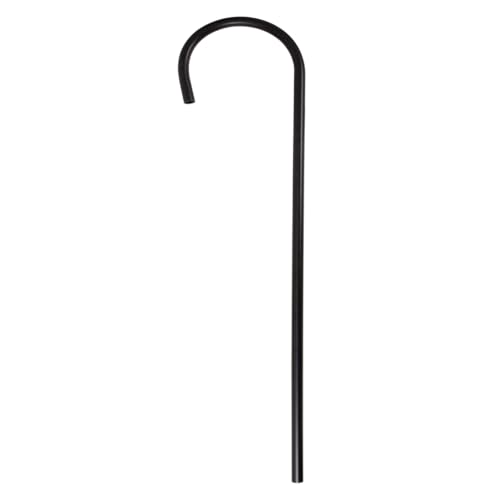 P' Tit Clown 67342 Canna Nera di Charlot in plastica – 80 cm – Nero