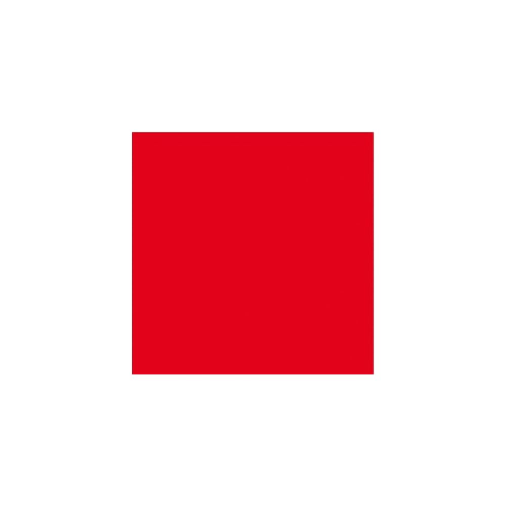 Bodensee Notflagge SB 60x60cm