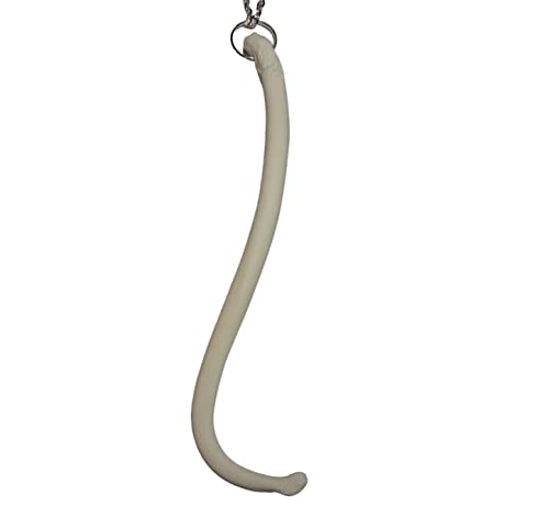 JUMBO Raccoon Penis Bone Necklace Fertility Raccoon Baculum Raccoon Necklace Penis Bone Penis Pendant Redneck Toothpick Raccoon Taxidermy