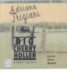 Big Cherry Holler Lib/E 0792798783 Book Cover