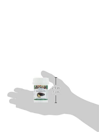 Aqua-Tropica Tylomelania-VITAL - Futter für alle Sulawesisee Schnecken, 35 g
