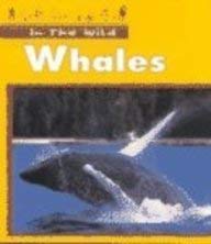 Paperback Whales (In the Wild) Book