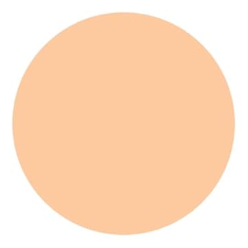 Shiseido UV Protective Compact Foundation Light Ivory - Protetor Solar Facial Compacto FPS 35 Refil 12g