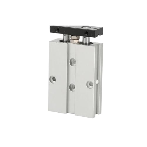 Cylindre pneumatique TN20X30 à double tige compacte pour automates