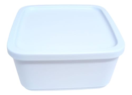 Tupperware Cubix - Contenitore per congelatore, con coperchio, 0,65 l, 650 ml