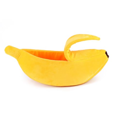 oii^ ybgxbh L nEX CG[ PP Q NbV oii{[g ʋC IVzc 낢 xe lGʗp (CG[, S)