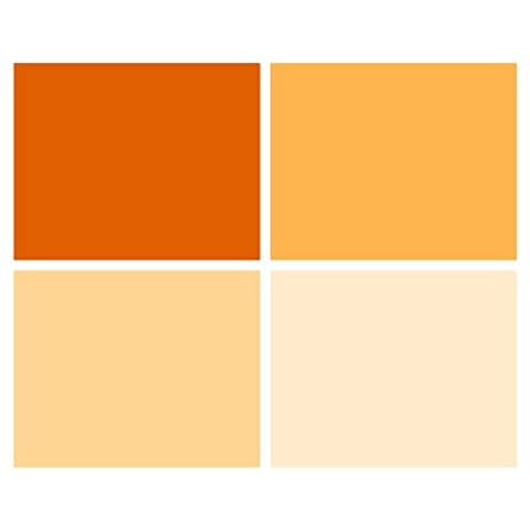 Meking 16x20 inches Lighting Gels CTO Photo Lights Gel Filters Transparent Color Correction Light Sheets for Photography Red Head Strobe Flashlight (Orange) Cover