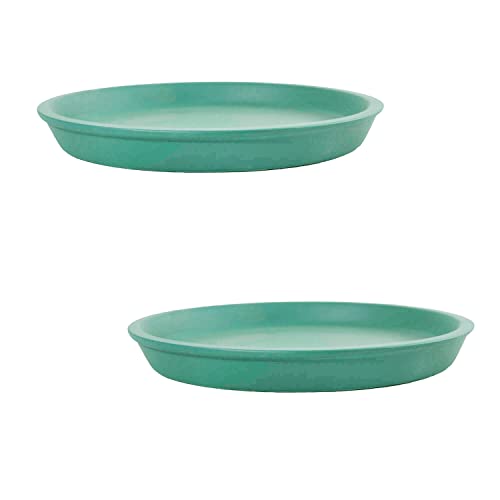Image of Lasaki Round Ceramic Trays (Plates Saucers) for Pots, planters, Flower, Succulent(Set of 2,deep Jungle,6 inch) R6(Plants not Included)