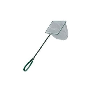 dipping net