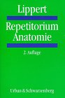  Repetitorium Anatomie